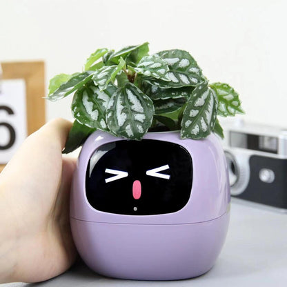 Ivy Smart Planter