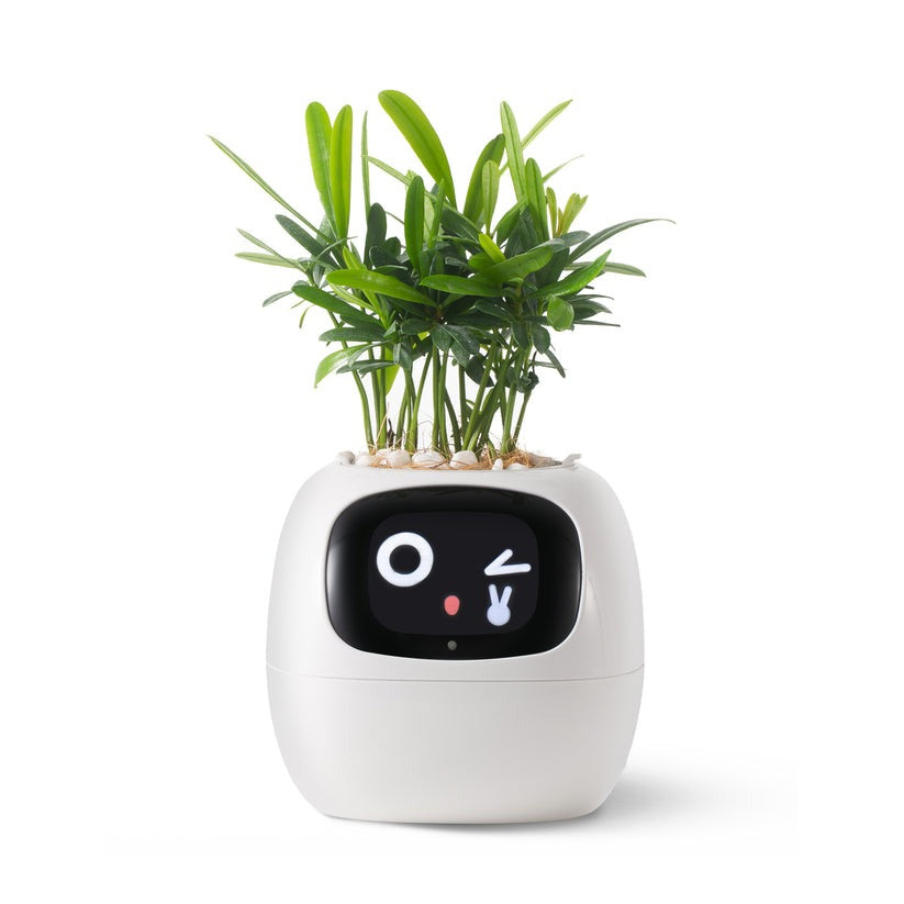 Ivy Smart Planter