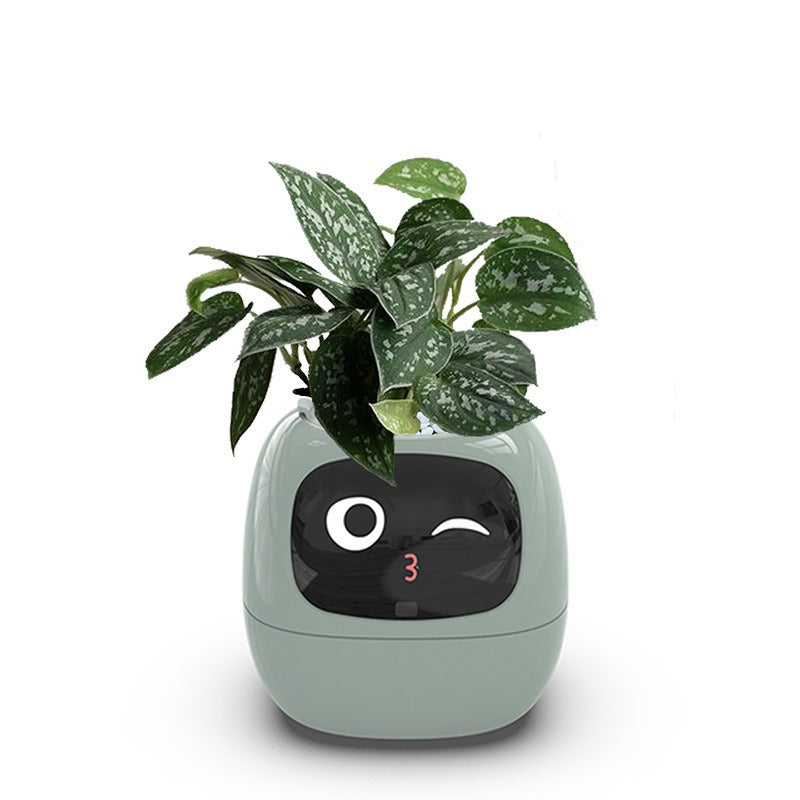 Ivy Smart Planter